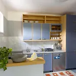 Seka Holiday home